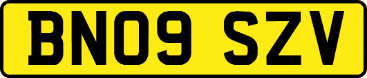 BN09SZV