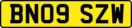 BN09SZW
