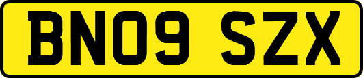 BN09SZX
