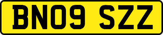 BN09SZZ