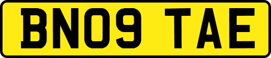 BN09TAE