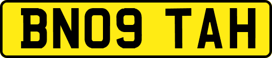 BN09TAH