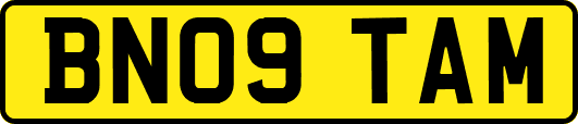 BN09TAM