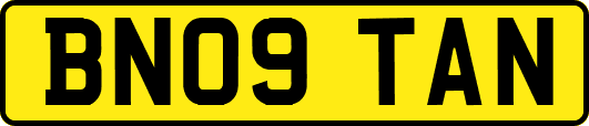 BN09TAN
