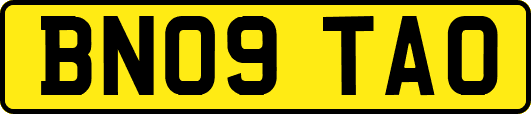 BN09TAO