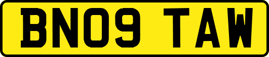 BN09TAW