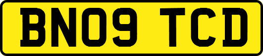 BN09TCD