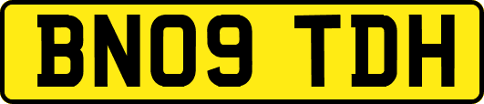 BN09TDH
