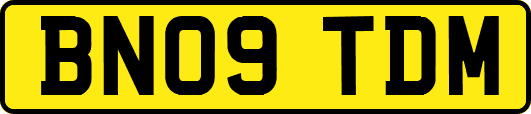 BN09TDM