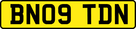 BN09TDN