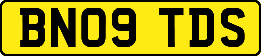 BN09TDS