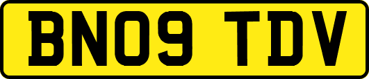 BN09TDV