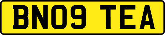 BN09TEA