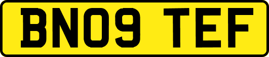 BN09TEF