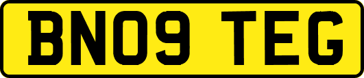 BN09TEG