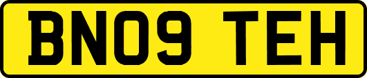 BN09TEH