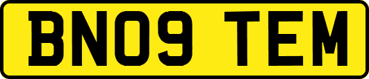 BN09TEM