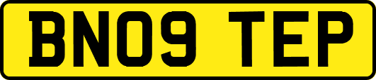 BN09TEP