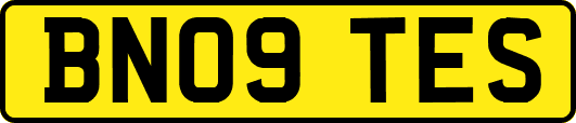 BN09TES