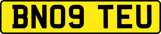 BN09TEU