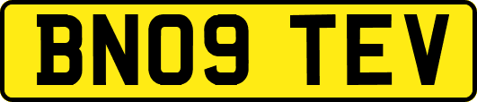 BN09TEV