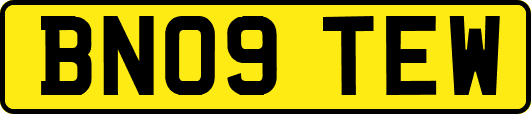 BN09TEW