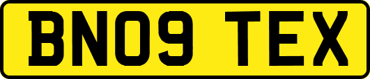 BN09TEX