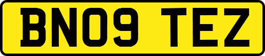 BN09TEZ