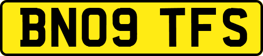 BN09TFS