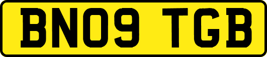 BN09TGB