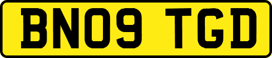 BN09TGD