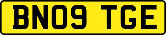 BN09TGE