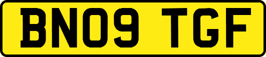 BN09TGF