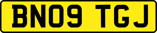 BN09TGJ