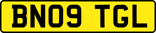 BN09TGL