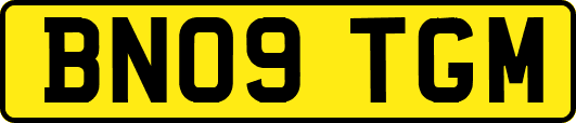 BN09TGM