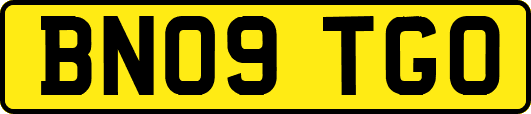 BN09TGO