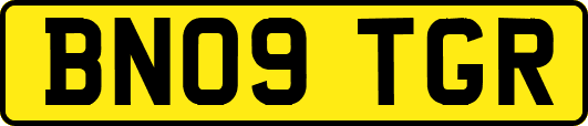 BN09TGR