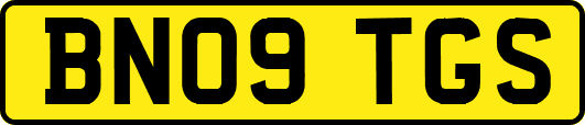 BN09TGS