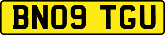 BN09TGU