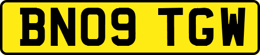 BN09TGW
