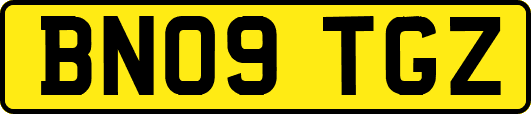 BN09TGZ