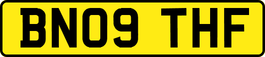 BN09THF