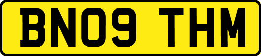 BN09THM
