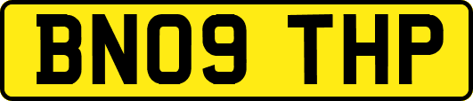 BN09THP