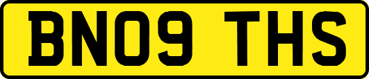 BN09THS