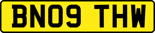 BN09THW