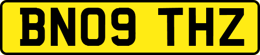 BN09THZ