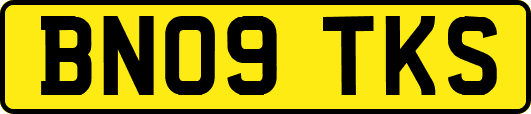 BN09TKS