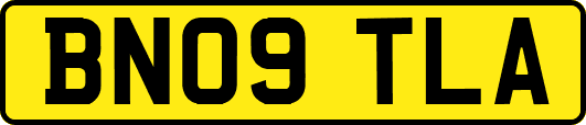 BN09TLA